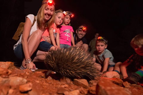 Alice Springs Desert Park Nocturnal Tour - Accommodation Kalgoorlie 5