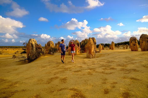 Half Day Pinnacles Sunset Tour - Accommodation Kalgoorlie 1