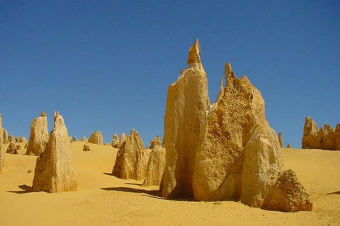 Half Day Pinnacles Sunset Tour - Accommodation Kalgoorlie 2