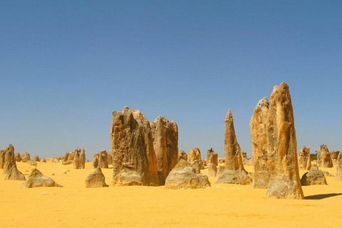 Half Day Pinnacles Sunset Tour - Accommodation Kalgoorlie 5