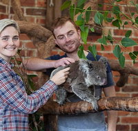Private Tour Blue Mountains Day Trip from Sydney - Accommodation Kalgoorlie