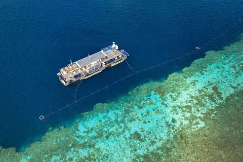 Great Barrier Reef Day Cruise To Reefworld - Accommodation Kalgoorlie 2