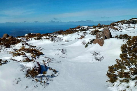 Mount Wellington Ultimate Experience Tour From Hobart - Accommodation Kalgoorlie 1