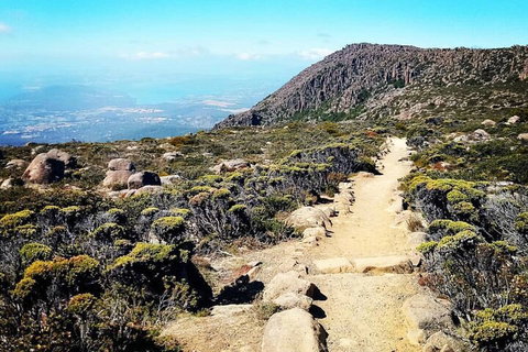 Mount Wellington Ultimate Experience Tour From Hobart - Accommodation Kalgoorlie 5