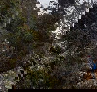 kunanyi / Mt. Wellington Guided Hiking Tour - Accommodation Kalgoorlie