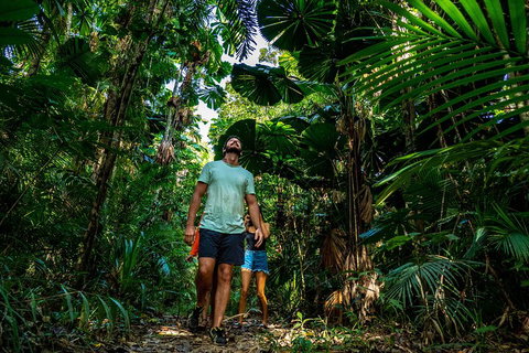 Full Day Daintree Rainforest And Mossman Gorge Tour - Accommodation Kalgoorlie 0