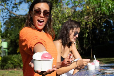 Full Day Daintree Rainforest And Mossman Gorge Tour - Accommodation Kalgoorlie 3