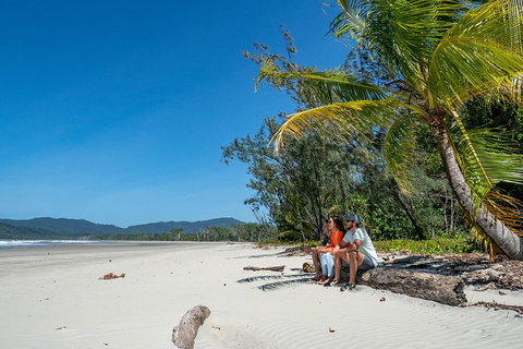 Full Day Daintree Rainforest And Mossman Gorge Tour - Accommodation Kalgoorlie 4