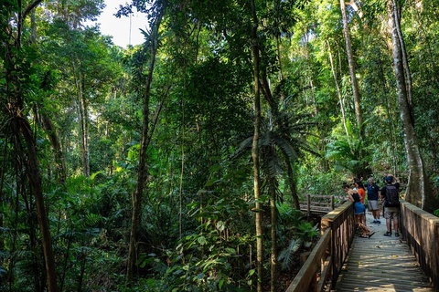 Full Day Daintree Rainforest And Mossman Gorge Tour - Accommodation Kalgoorlie 5