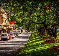 Fully Inclusive Blue Mountains Private Tour inc Scenic World  Featherdale entry - Accommodation Kalgoorlie