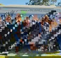 Full Day Mount Tamborine Winery Tour from Gold Coast - Accommodation Kalgoorlie