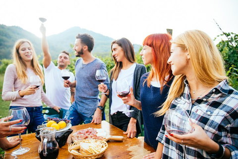 Full Day Mount Tamborine Winery Tour From Brisbane - Accommodation Kalgoorlie 5