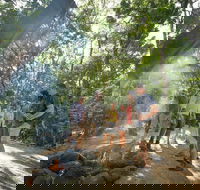 Mossman Gorge Adventure Day - Accommodation Kalgoorlie