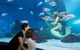 SEA LIFE Melbourne Aquarium Admission Ticket - thumb 4