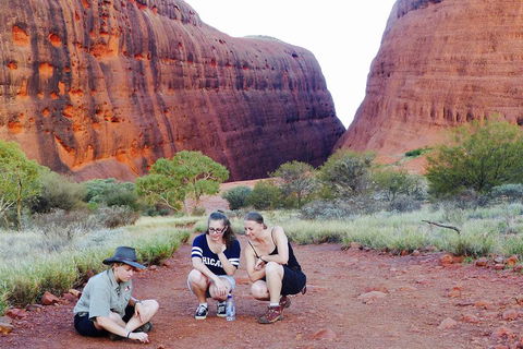 Afternoon Kata Tjuta Small Group Tour - Accommodation Kalgoorlie 2