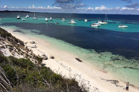 Experience Rottnest With Ferry & Bike Hire From Perth Or Fremantle - Accommodation Kalgoorlie 0