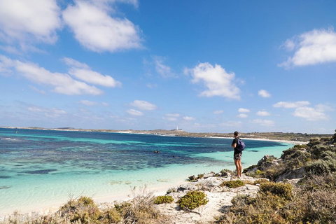 Experience Rottnest With Ferry & Bike Hire From Perth Or Fremantle - Accommodation Kalgoorlie 3