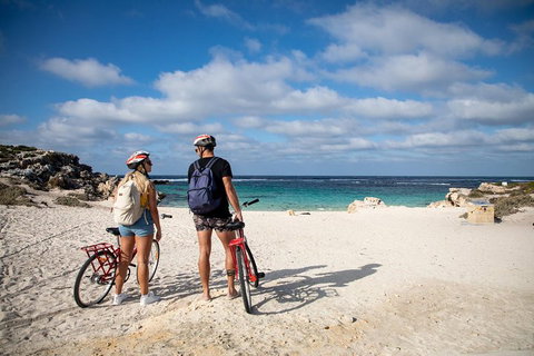 Experience Rottnest With Ferry & Bike Hire From Perth Or Fremantle - Accommodation Kalgoorlie 5