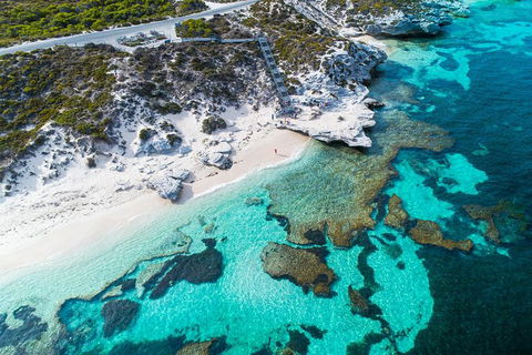 Rottnest Island Round-Trip Ferry From Perth Or Fremantle - Accommodation Kalgoorlie 0