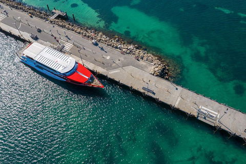 Rottnest Island Round-Trip Ferry From Perth Or Fremantle - Accommodation Kalgoorlie 1