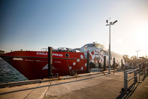 Rottnest Island Round-Trip Ferry From Perth Or Fremantle - Accommodation Kalgoorlie 2