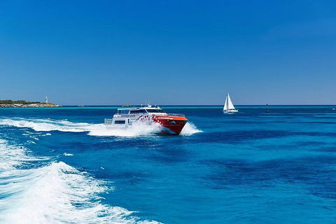 Rottnest Island Round-Trip Ferry From Perth Or Fremantle - Accommodation Kalgoorlie 4