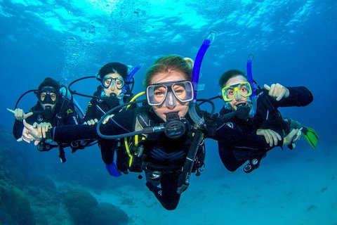 Great Barrier Reef Diving And Snorkeling Cruise From Cairns - Accommodation Kalgoorlie 0