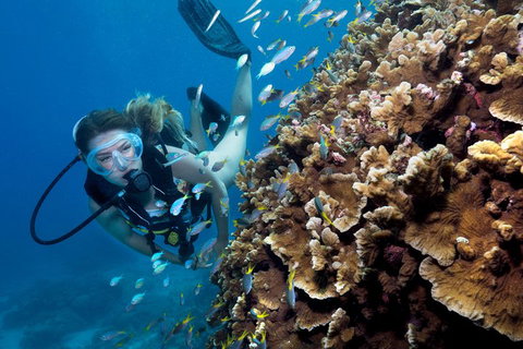 Great Barrier Reef Diving And Snorkeling Cruise From Cairns - Accommodation Kalgoorlie 1