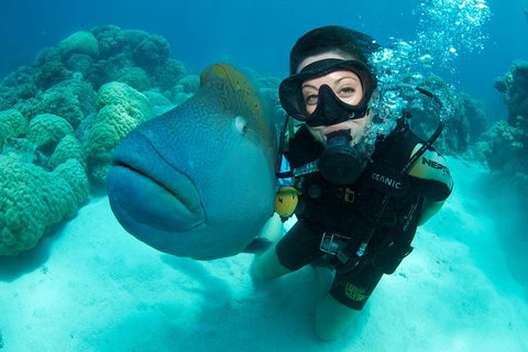 Great Barrier Reef Diving And Snorkeling Cruise From Cairns - Accommodation Kalgoorlie 2