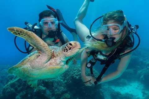 Great Barrier Reef Diving And Snorkeling Cruise From Cairns - Accommodation Kalgoorlie 4