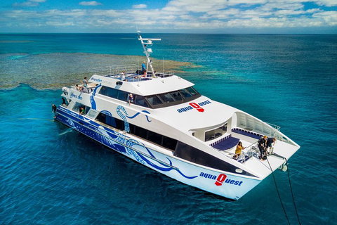 Great Barrier Reef Diving And Snorkeling Cruise From Cairns - Accommodation Kalgoorlie 5