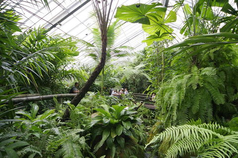 Australian Butterfly Sanctuary - Accommodation Kalgoorlie 3