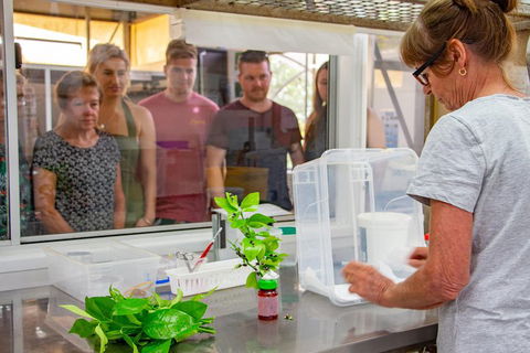 Australian Butterfly Sanctuary - Accommodation Kalgoorlie 5