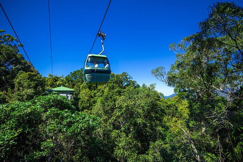 Classic Kuranda By Skyrail And Scenic Railway Including Rainforestation, Koala And Wildlife Park And Pamagirri Aboriginal Experi - Accommodation Kalgoorlie 0