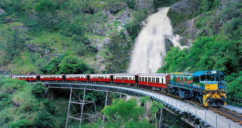 Classic Kuranda By Skyrail And Scenic Railway Including Rainforestation, Koala And Wildlife Park And Pamagirri Aboriginal Experi - Accommodation Kalgoorlie 1