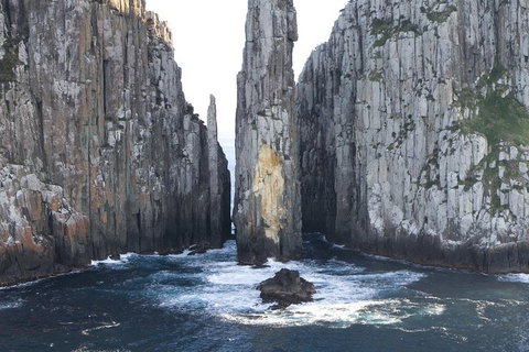 Tasman Island Cruises And Port Arthur Historic Site Day Tour From Hobart - Accommodation Kalgoorlie 2