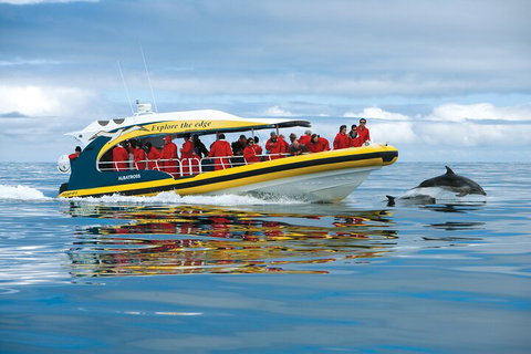Tasman Island Cruises And Port Arthur Historic Site Day Tour From Hobart - Accommodation Kalgoorlie 3