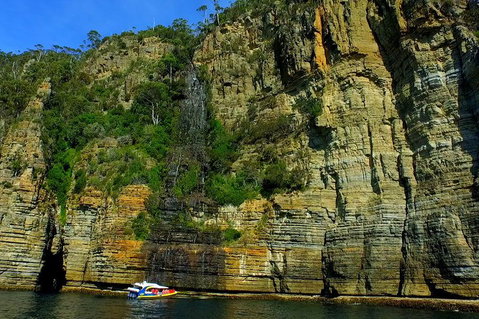 Tasman Island Cruises And Port Arthur Historic Site Day Tour From Hobart - Accommodation Kalgoorlie 5