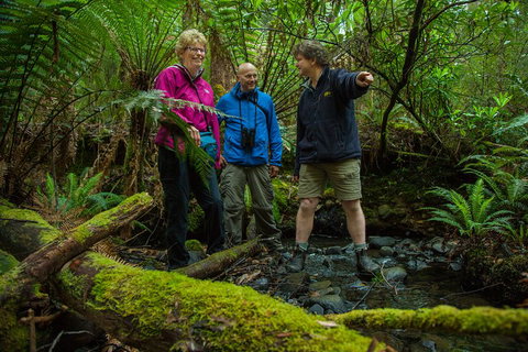 Bruny Island Traveller - Gourmet Tasting And Sightseeing Day Trip From Hobart - Accommodation Kalgoorlie 1
