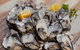 Bruny Island Traveller - Gourmet Tasting And Sightseeing Day Trip From Hobart - thumb 4