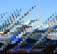 One Day Port Lincoln Tour - Tasting Eyre - Accommodation Kalgoorlie