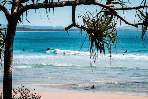 Sunshine Coast Hinterland And Noosa Day Trip From Brisbane Including Eumundi Markets And Ginger Factory - Accommodation Kalgoorlie 5
