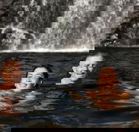 3 Day 4WD Dragonfly Dreaming Top End Safari - Accommodation Kalgoorlie