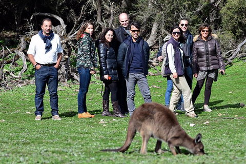 2-Day Kangaroo Island 4WD Small-Group Tour From Adelaide - Accommodation Kalgoorlie 1