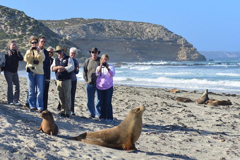 2-Day Kangaroo Island 4WD Small-Group Tour From Adelaide - Accommodation Kalgoorlie 3
