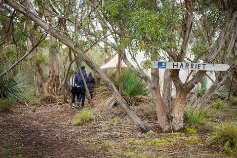 2-Day Kangaroo Island 4WD Small-Group Tour From Adelaide - Accommodation Kalgoorlie 5