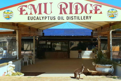 2 Day Ultimate Kangaroo Island With Return Ferry - Accommodation Kalgoorlie 3