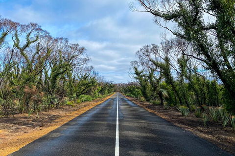 2 Day Ultimate Kangaroo Island With Return Ferry - Accommodation Kalgoorlie 4