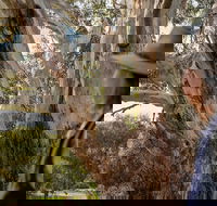 NEW TOUR - Kangaroo Island Road to Recovery Tour 1 Day/1 Night - Accommodation Kalgoorlie