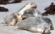 Small-Group Kangaroo Island 4WD Tour From Adelaide - thumb 1